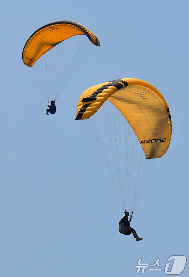 1일 경북 포항시 북구 흥해읍 칠포해수욕장 백사장과 곤륜산 일원에서 개최된 '2025 한국 패러글라이딩 리그 1차전(정밀착륙)' 경기에서 선수들이 목표 지점을 향해 착륙 준비를 하고 있다. 2025.6.1/뉴스1 ⓒ News1 최창호 기자