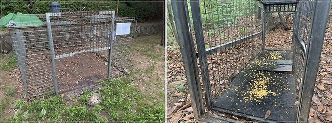 23일 서울 서대문구와 은평구가 설치한 포획틀의 모습. /이호준 기자