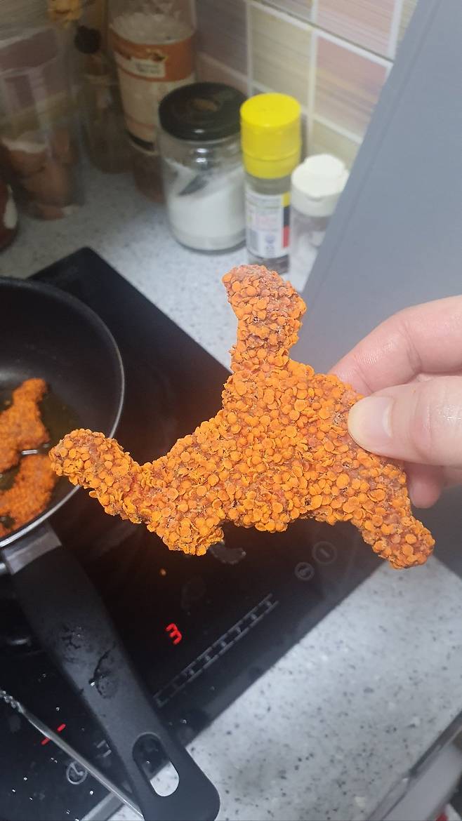 동심파괴 불용가리 치킨