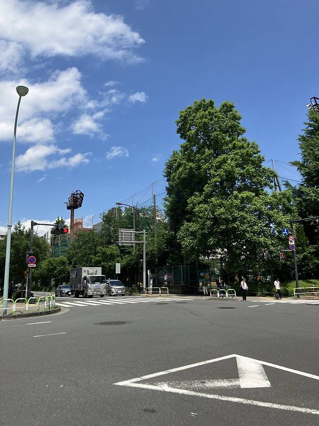 <도쿄외노자> 지브리 하늘같은 색감의 도쿄 동네 하늘입니다