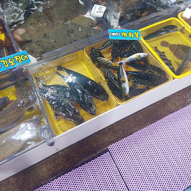 1000017287.jpg 동해안 여행(1)