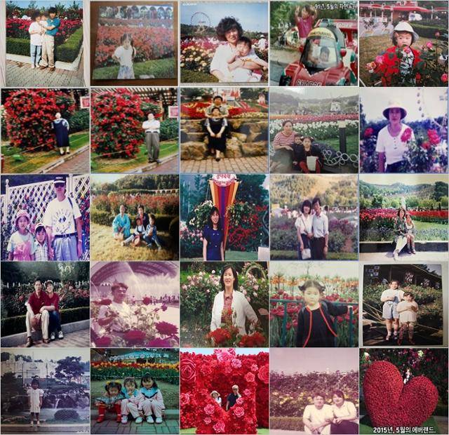에버랜드가 장미축제 40주년을 맞아 진행한 추억사진 공모전에 응모한 사진들. 에버랜드 제공