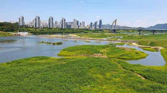 세종시 세종동 금강 세종보 전경. 중앙포토