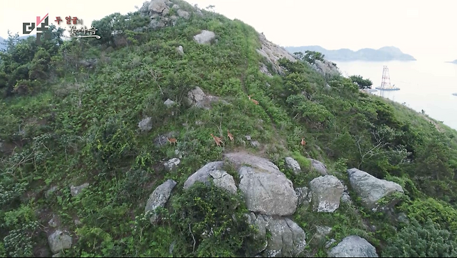 전남 영광군 낙월면 안마도