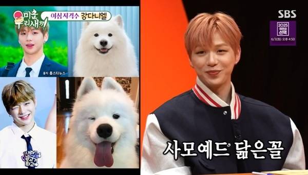SBS ‘미운 우리 새끼’ 캡처