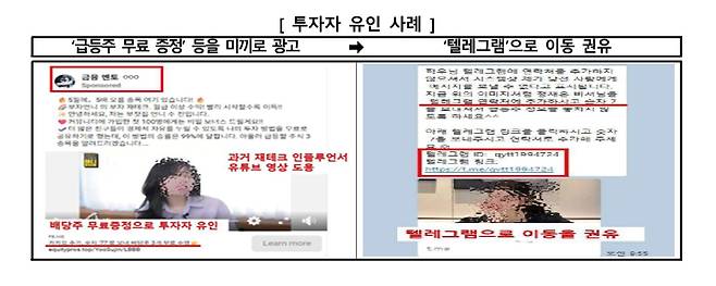 금융감독원 제공