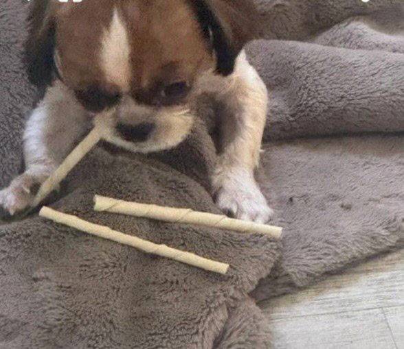 (사진=SNS 갈무리)