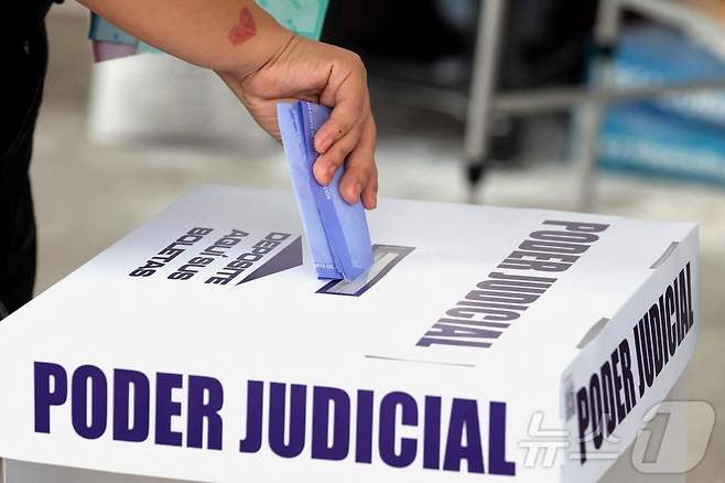 1일(현지시간) 멕시코 할리스코주 과달라하라의 투표소에서 유권자들이 판사 선출 투표를 하고 있다. ⓒ AFP=뉴스1