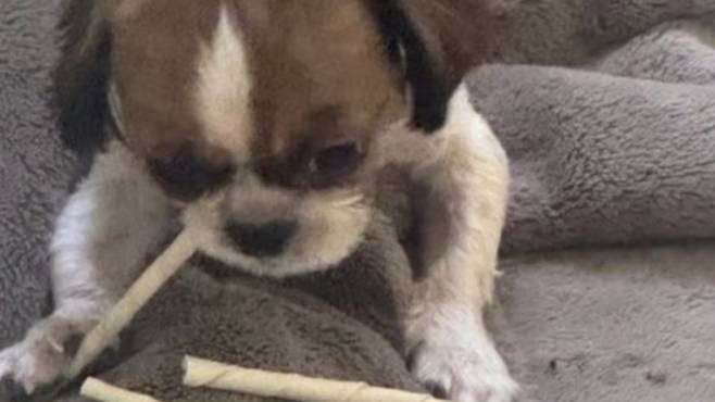 온라인 커뮤니티