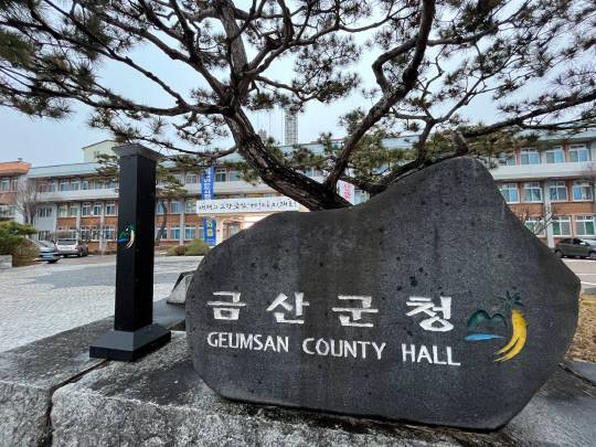 금산군은 오는 30일까지 '체납차량 일제 단속의 날'을 운영해 지방세와 자동차 과태료 체납차량에 대한 집중단속에 나선다. 대전일보DB