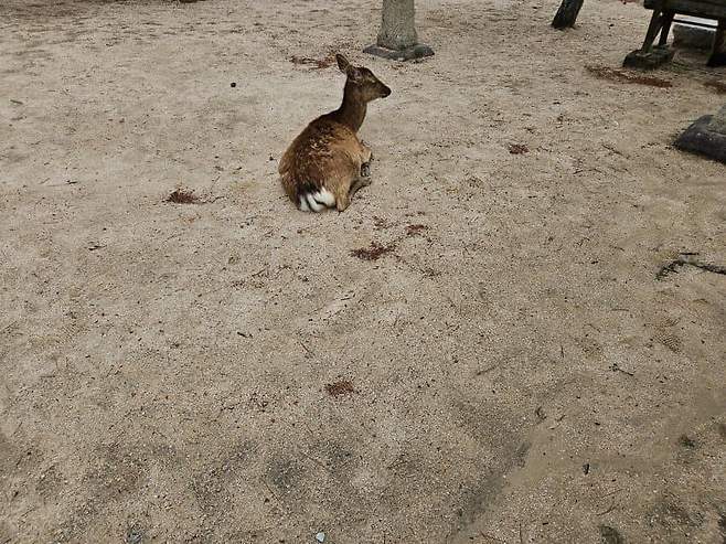 7fed8272b58769f551ee86e445807173773902db791773012a245c6002480f21