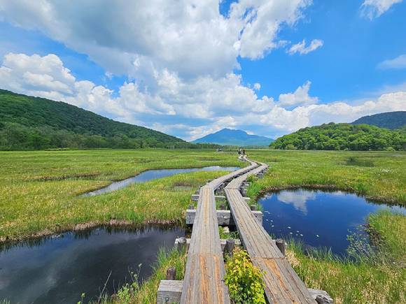 일본 오제습지. [사진=하나투어]