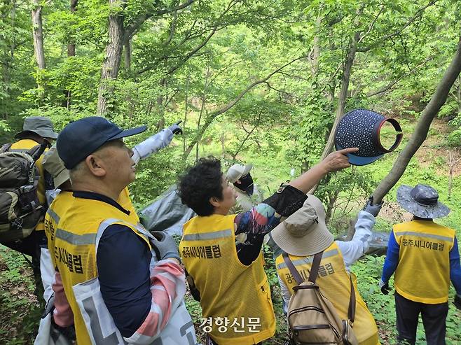 지난 5월 20일 공주시니어클럽 어르신 예찰팀이 계룡산에서 소나무재선충병 예찰을 하고 있다. 반기웅 기자