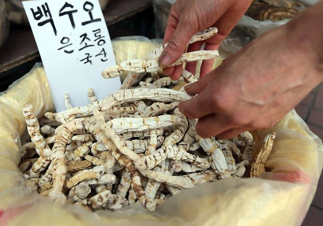서울시내 한 재래시장에서 상인이 백수오를 정리하고 있다. 연합뉴스