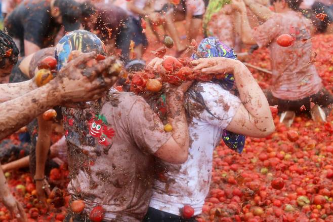 남미에서도 주요 토마토 산지인 콜롬비아가 '토마티나' 축제를 개최했다. 사진은 지난 1일(현지시각) 콜롬비아 수타마르칸에서 열린 토마티나 축제에서 사람들이 식용이 불가능한 토마토를 집어 던지며 '토마토 싸움' 놀이를 즐기고 있는 모습. /사진=로이터