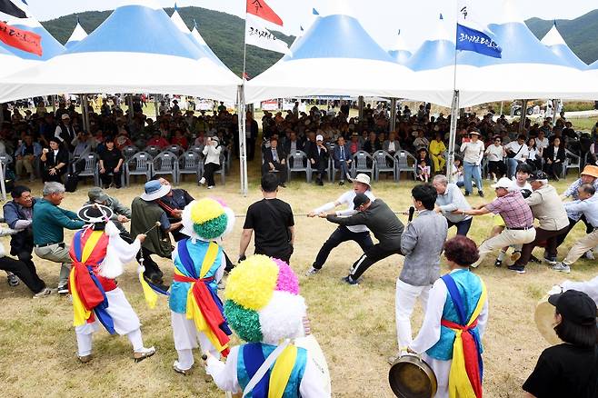 [대구 군위군 제공]