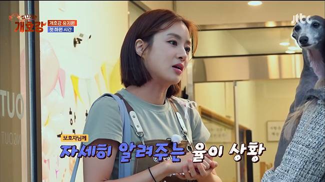 사진=JTBC ‘집 나가면 개호강’