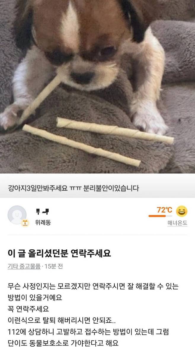 [서울=뉴시스] 반려견을 임시로 돌봐달라며 맡긴 뒤 계정을 탈퇴해 잠적한 견주를 찾는다는 사연이 온라인상에 퍼지며 공분을 사고 있다. (사진 = 당근마켓 캡처) 2025.05.26. *재판매 및 DB 금지