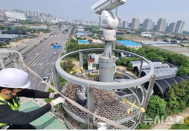[김포=뉴시스] 정일형 기자 = 지능형교통체계(ITS) 현장 시설물 까치집 제거 모습. (사진=김포시 제공)