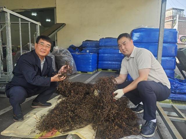 박세봉 조합장(왼쪽)이 올해 수확해 건조한 고사리를 들어보이고 있다.