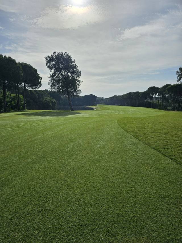 코넬리아GC 페어웨이