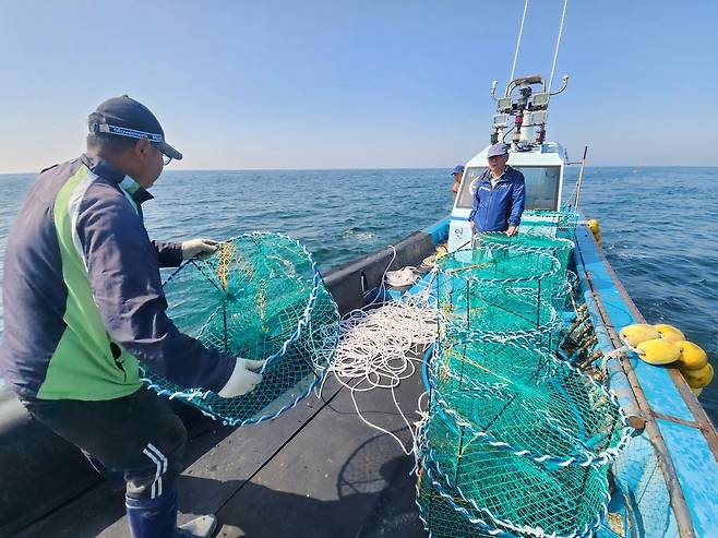 갑오징어 산란시설물 [군산시 제공. 재판매 및 DB 금지]