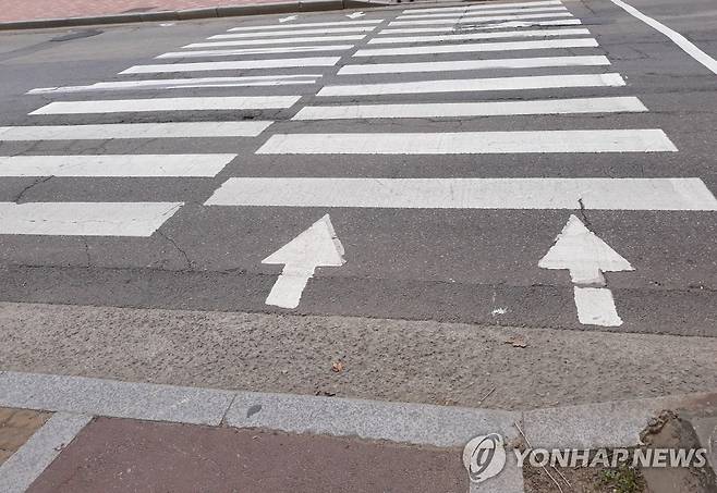 횡단보도 ※ 위 사진은 기사 내용과 직접적인 관련이 없습니다.[연합뉴스 자료사진]
