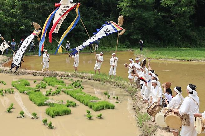 장안농요 재현 장면 [보은군 제공. 재판매 및 DB금지]