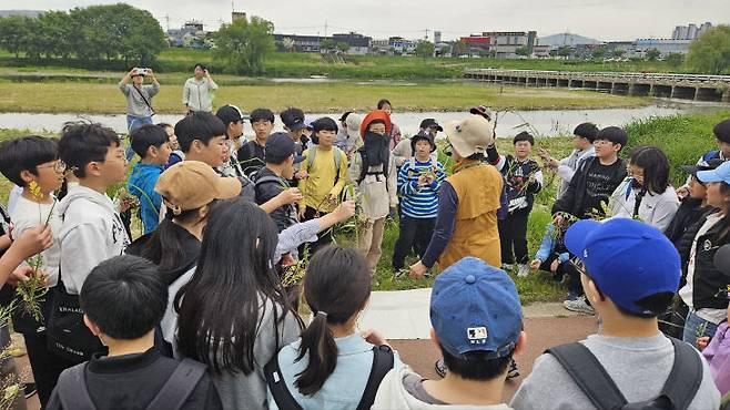 유등천 생태탐사와 플로깅 모습. 한밭초 제공