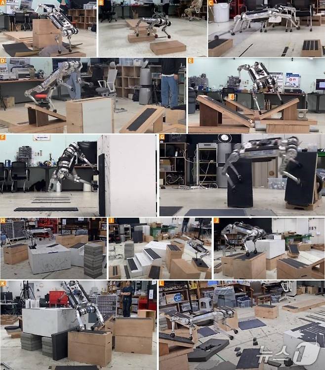 KAIST가 개발한 사족보행 로봇 '라이보'의 불연속 지형 고속 네이게이션 주파 실험(KAIST 제공) /뉴스1