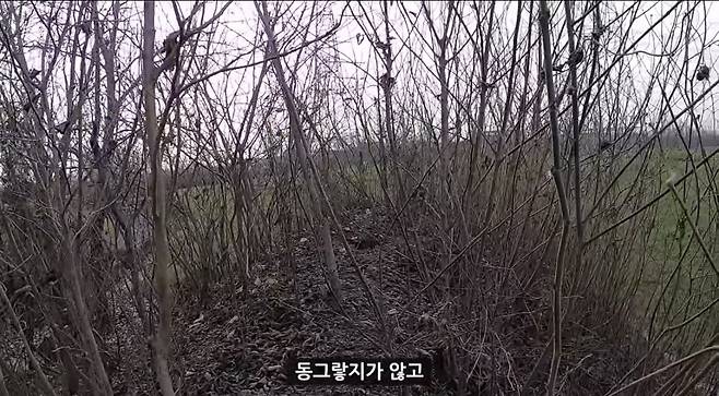 실제 여포 무덤에 찾아가본 유튜버