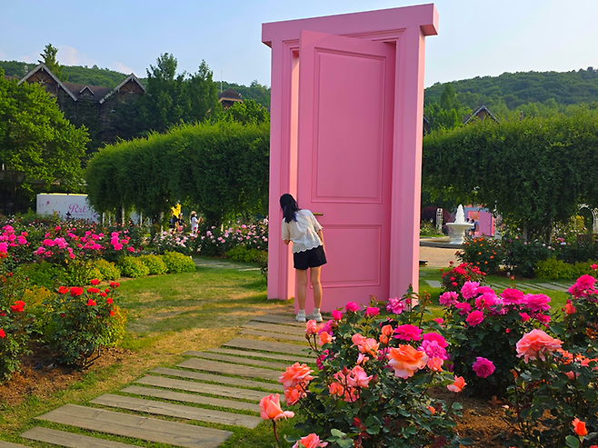 에버랜드 로로티 축제를 즐기는 방문객의 모습 / 사진=김혜성 여행+ 기자
