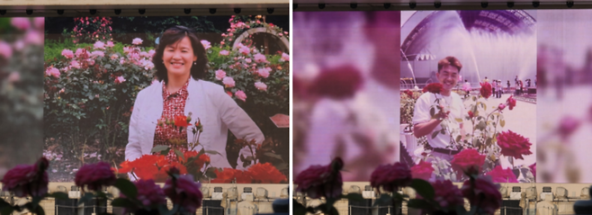 에버랜드 장미축제 40주년을 맞아 그간 고객 추억 담긴 인공지능(AI) 활용 영상 / 사진=김혜성 여행+ 기자