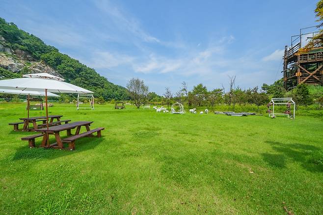 사진 = 강화자연휴양림