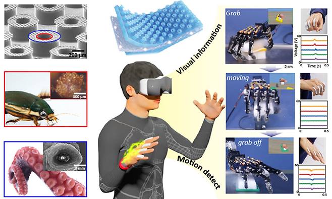 생체모방구조의 피부 부착형 동작 발전 센서 패치 구성과 이를 이용한 로봇 원격제어. 전북대 제공