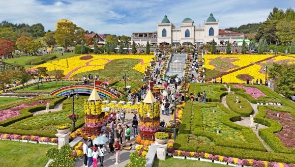 임실N치즈축제가 열리는 치즈테마파크. 천만송이 국화가 장관이다. 임실군 제공