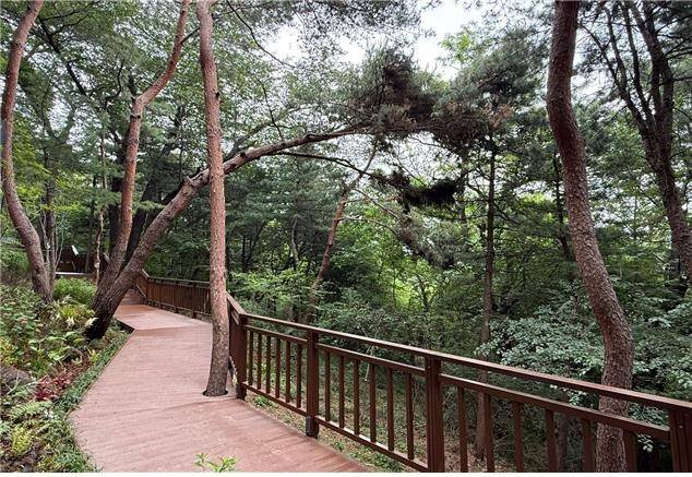 산책데크 [서울시 제공. 재판매 및 DB 금지]