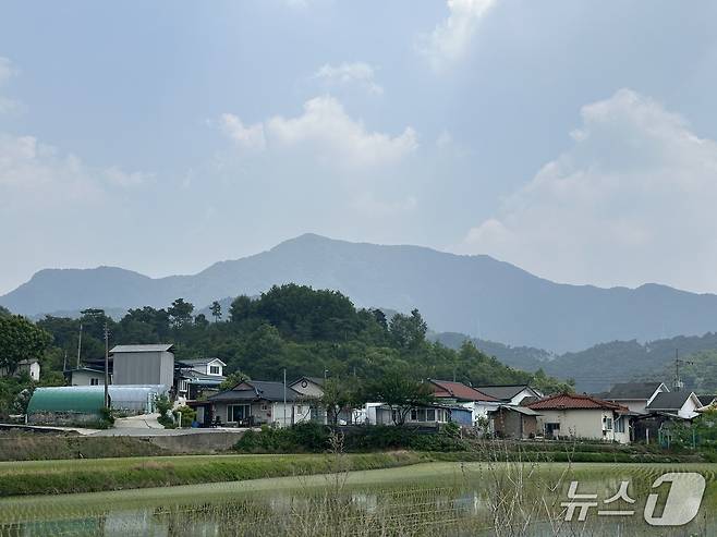 충주 산척면 대소강마을 뒤로 천등산이 보이고 있다.(자료사진)/뉴스1