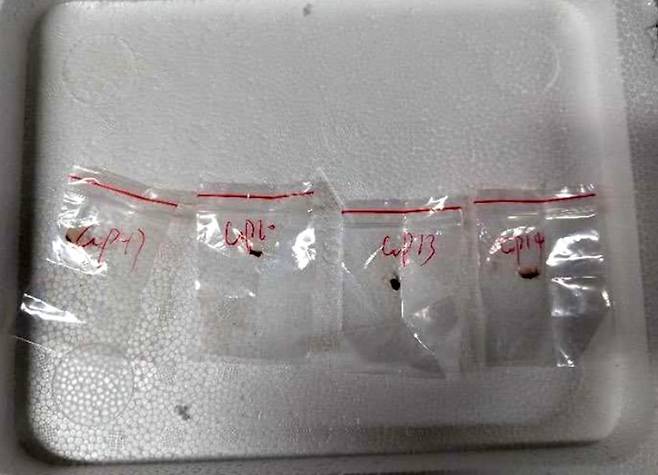 중국 과학자인 류준용(34)이 미국 미시간주 디트로이트 공항을 통해 밀반입하려다 적발된 붉은곰팡이 샘플. (사진은 ABC 뉴스 기사 갈무리)
