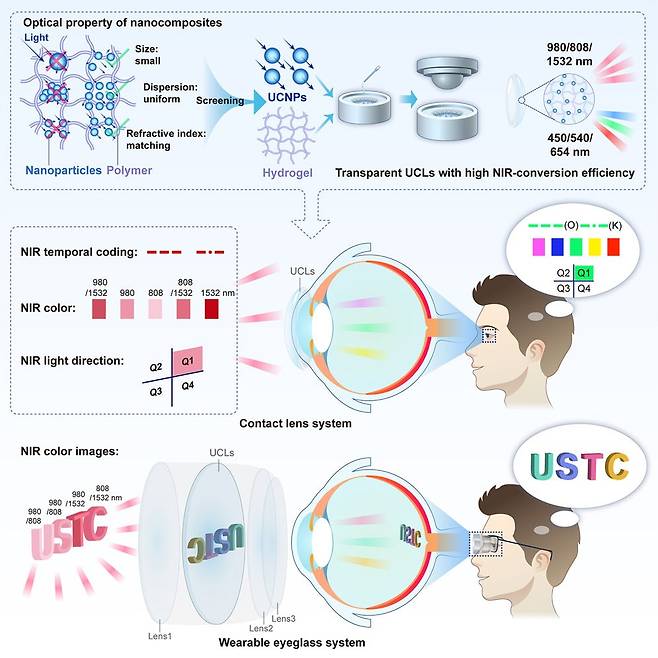 중국 과기대 연구진은 적외선을 가시광선으로 바꾸는 나노입자(윗줄 파란색 구형 입자)를 개발해 무독성 고분자물질인 하이드로겔(윗줄 그물 구조)에 결합했다. 나노입자는 파장에 따라 적외선을 가시광선으로 바꿨다. 덕분에 렌즈를 착용하면 적외선이 깜박이는 것을 감지하고 글자도 확인했다./Cell