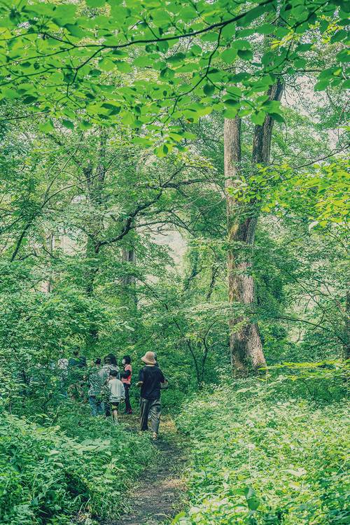 성황당 숲을 산책하는 사람들