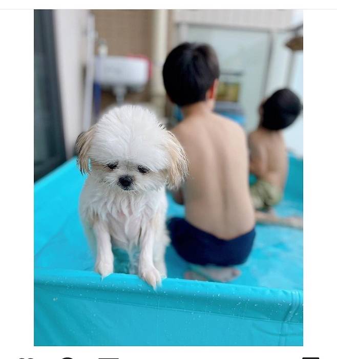 Screenshot_20230822_164810_Instagram.jpg 개를 체력으로 이길 수 있는건 작은사람 뿐이다 개를 체력으로 이길 수 있는건 작은사람 뿐이다 .jpg