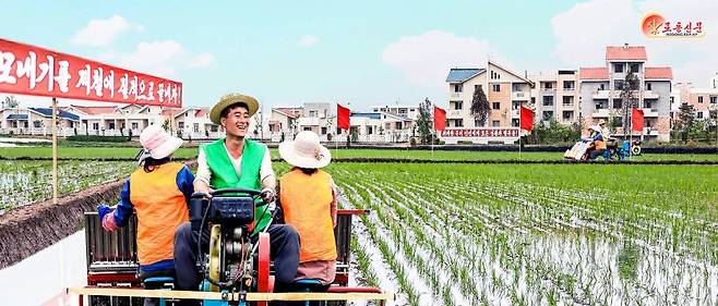 북한 노동당 기관지 노동신문은 지난달 25일 "모내기를 제철에 질적으로 끝내자"고 주민들을 독려하는 선전선동의 내용을 담아 보도했다. 노동신문 캡처