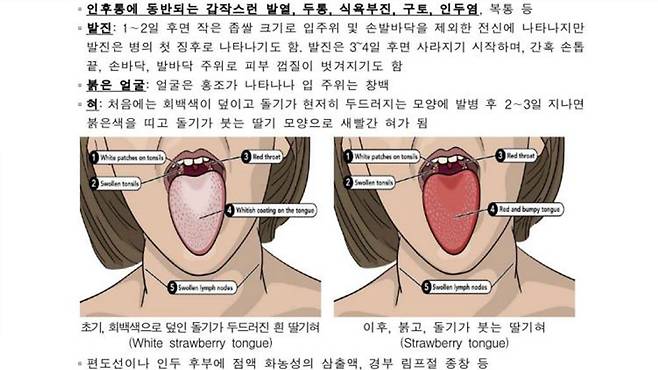 [연합뉴스/질병관리청 제공]