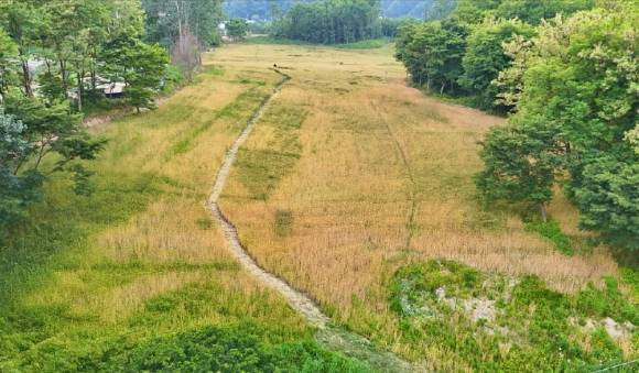 성심당 밀밭농원 [사진=성심당 인스타그램]