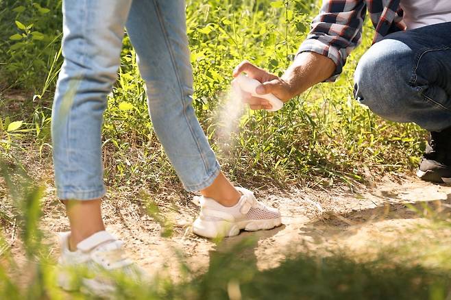 사진=게티이미지뱅크