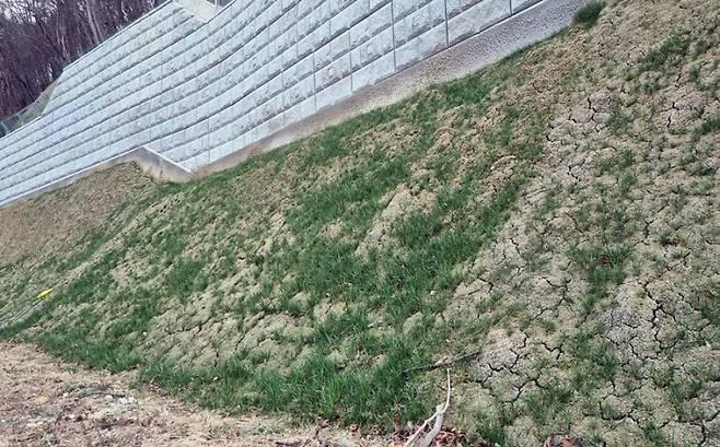 충북 보은군 콘크리트 비탈면에 생태복원기술을 적용한 결과. 한국지질자원연구원