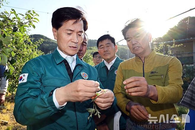 [밀양=뉴시스] 안병구 경남 밀양시장이 4일 최근 내린 우박으로 큰 피해를 입은 산내면 사과 재배 농가를 방문해 농업인을 위로하며, 현장을 둘러보고 있다. (사진=밀양시 제공) 2025.06.04. photo@newsis.com