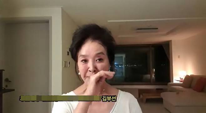 /사진=김부선 유튜브 채널 영상 캡처