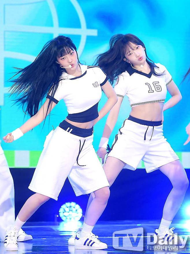 티브이데일리 포토